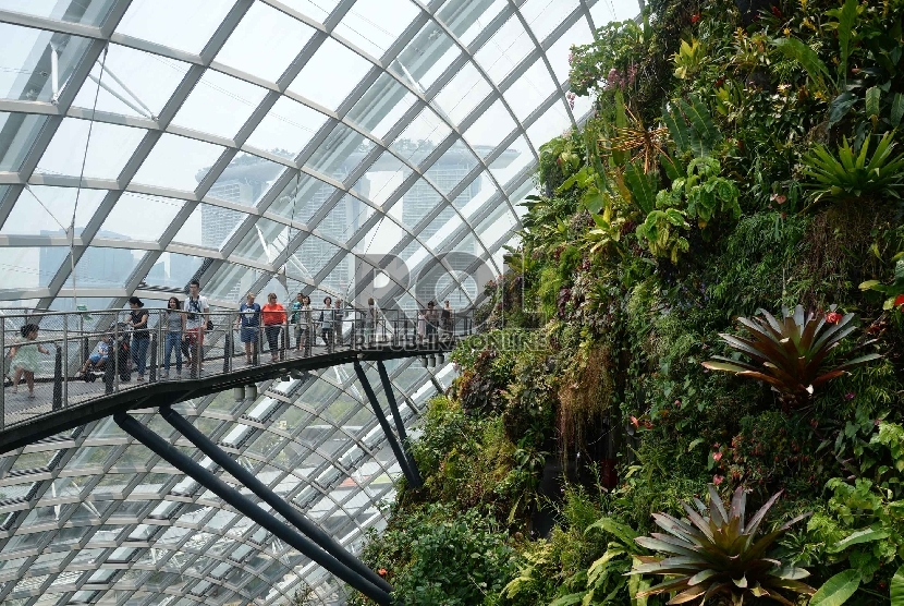 Gardens by the Bay, salah satu atraksi wisata baru di Singapura. Di ruang hijau ini turis bisa menikmati beragam tanaman yang ditata secara fantastis.