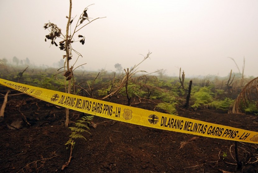 Garis larangan melintas oleh Penyidik Pegawai Negeri Sipil (PPNS) Kementerian Kehutanan terpasang di lahan yang diduga sengaja dibakar di Gambut Jaya, Muaro Jambi, Selasa (15/9). 