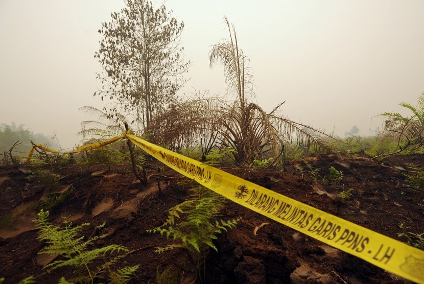 Garis larangan melintas oleh Penyidik Pegawai Negeri Sipil (PPNS) Kementerian Kehutanan terpasang di lahan yang diduga sengaja dibakar di Gambut Jaya, Muaro Jambi, Selasa (15/9).