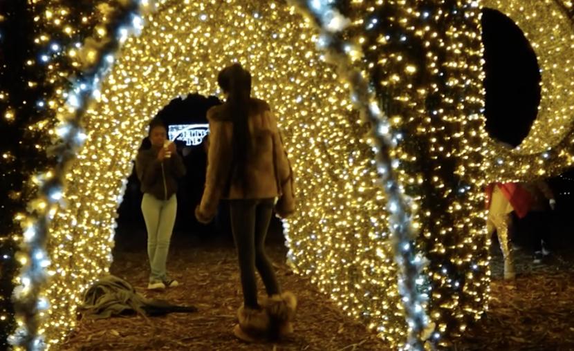 Gemerlapnya festival lampu khas musim dingin di kota Olney negara bagian Maryland