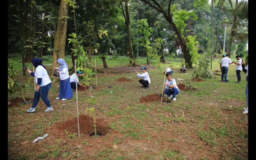 Gerakan penanaman ribuan pohon 