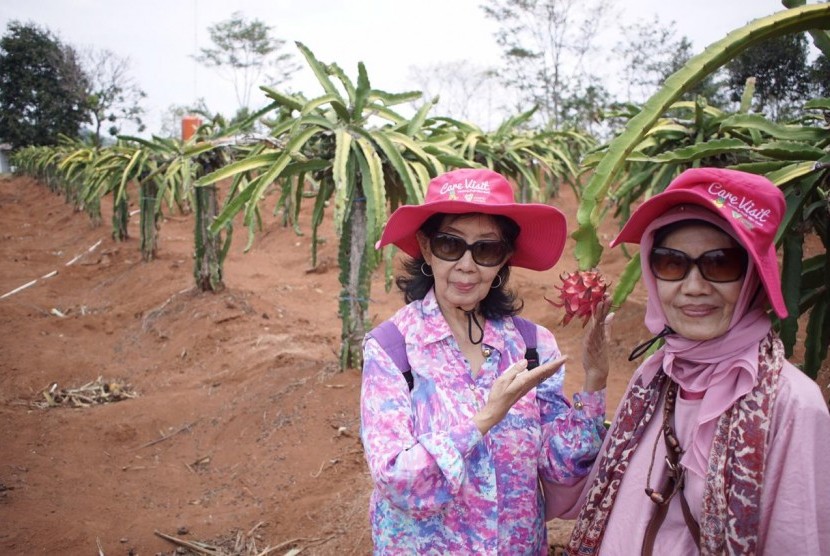 Gerakan Relawan Lansia dari Jakarta mengunjungi lokasi program pemberdayaan zakat, Desa Tani binaan Dompet Dhuafa Jaba, Rabu (13/11). 