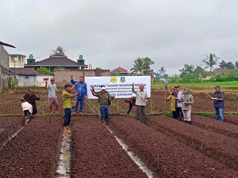 Gerakan tanam bawang merah bantuan Kementerian Pertanian (Kementan) tahun 2022 dalam upaya menekan inflasi di Jalan Lingkar Selatan Kelurahan Limusnunggal, Kecamatan Cibeureum, Kota Sukabumi, Kamis (29/13/2022).