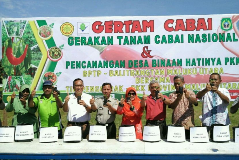 Gerakan tanam (Gertam) cabai di Sofifi, Maluku Utara, Ahad (26/2/2017) dihadiri oleh Ketua TP PKK Malut, Kepala BPTP Balitbangtan Malut, Kapuslitbanghorti, Kadis Pertanian, Kadis Pangan, Kepala BI, Persit KCK Tidore, Kepala Balai Karantina Pertanian, dan Camat Oba Utara.