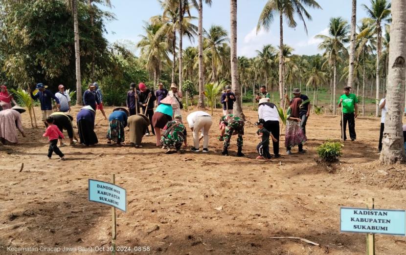 Gerakan tanam padi gogo oleh kelompok tani Warung Waru di lahan HGU milik PT Asabaland di Desa Purwasedar, Kecamatan Ciracap, Kabupaten Sukabumi.