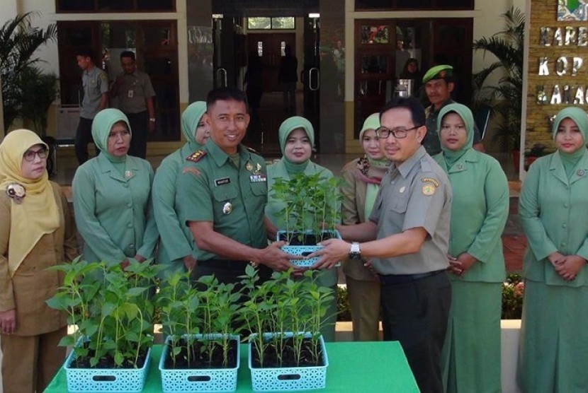 Gertam Cabai di Sukabumi