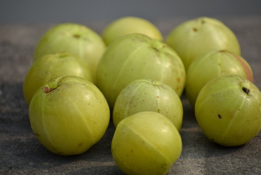 Gooseberry India atau dikenal dengan buah amla sering kali diremehkan dan dibiarkan begitu saja (Foto Buah Amla atau Malaka)