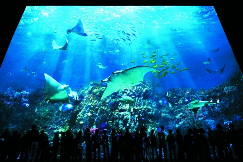 Grand Aquarium Ocean Park Hong Kong
