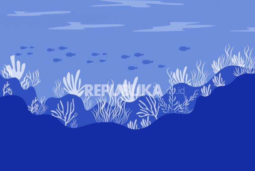 Great Barrier Reef Australia, terumbu karang terbesar di dunia berpotensi alami pemutihan terbesar.