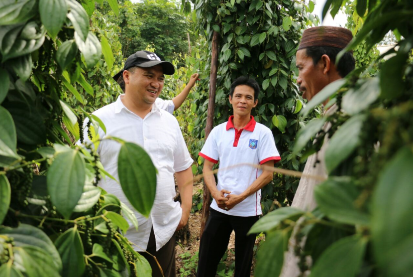 Gubernur Bangka Belitung, Erzaldi Rsoman Djohan bersama petani Lada mempersiapkan Resi Gudang Lada yang akan dirilis November 2017.