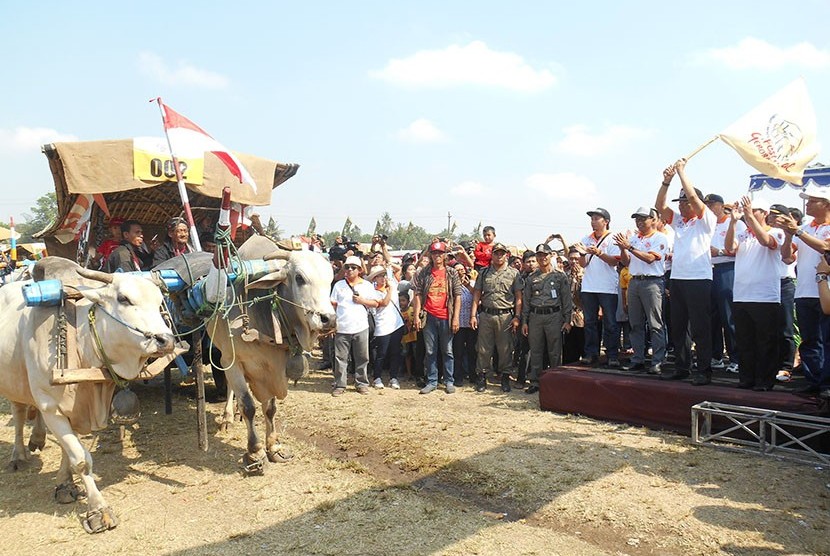 Gubernur DIY, Sri Sultan Hamengku Buwono X mengibarkan bendera tanda dimulainya karnaval gerobak sapi pada Festival Gerogak Sapi 2015 di Stadion Sultan Agung, Kabupaten Bantul, DIY, Ahad (6/9).