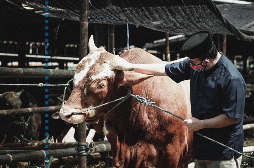 Gubernur DKI Jakarta Anies Baswedan menyerahkan hewan kurban berupa sapi jenis limousin seberat 1,1 ton kepada pengurus Pegawai Republik Indonesia (Korpri) Jakarta Timur, Selasa (20/7). 