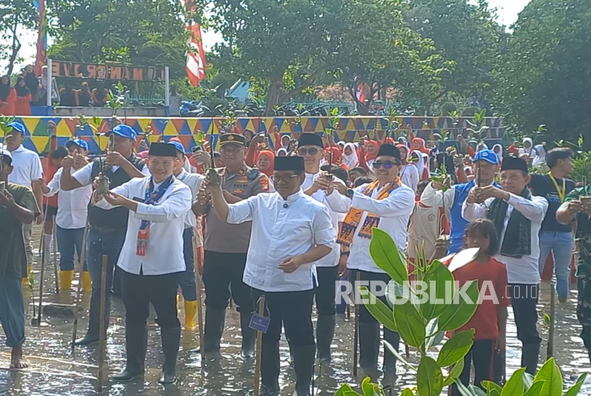Gubernur DKI Jakarta Pramono Anung Wibowo melakukan penanaman mangrove dan memberikan bibit ikan kerapu kepada warga di Pulau Kelapa, Kabupaten Kepulauan Seribu, Jumat (4/7/2025). 