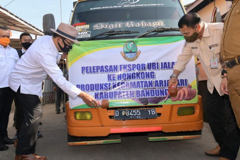Gubernur Jabar Ridwan Kamil melepas 30 ton ubi Bandung untuk diekspor ke Hongkong