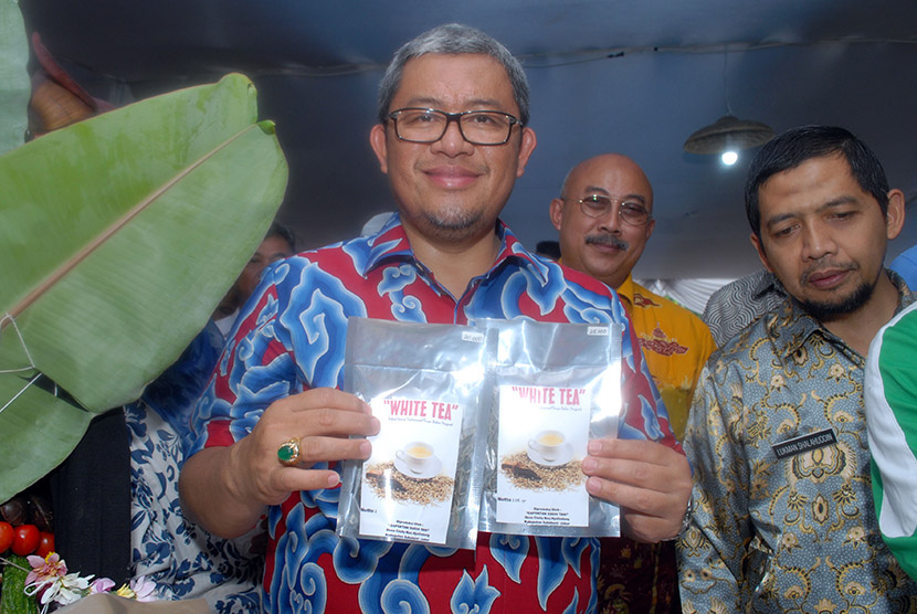 Gubernur Jawa Barat Ahmad Heryawan memperlihatkan kemasan produk teh putih dalam acara Gubernur Ngamumule Lembur (GNL) di Sukabumi, Jawa Barat, Kamis (19/11).