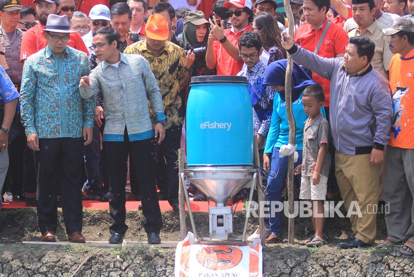 Chief Executive Officer Efishery Gibran Huzaifah (kanan) melihat proses pemberian pakan dengan mesin automatic fish feeder saat peluncuran program Kampung Perikanan Digital di Losarang, Indramayu, Jawa Barat