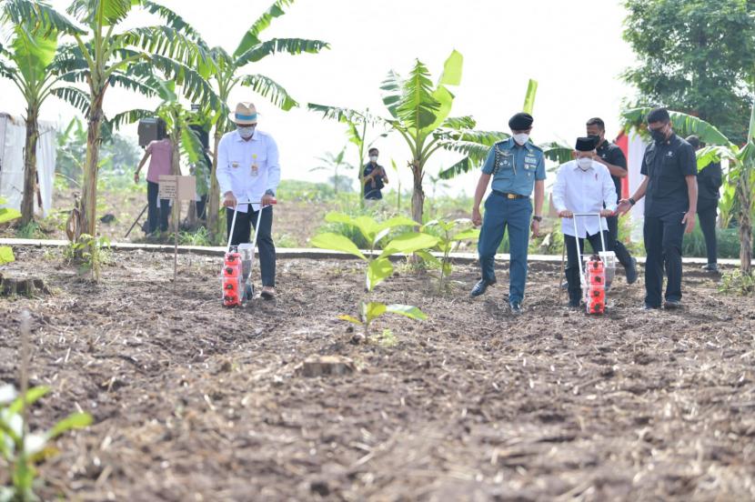 Gubernur Jawa Barat Ridwan Kamil mendampingi Wakil Presiden KH Ma'ruf Amin dalam peninjauan program Integrated Farming di Purwakarta, Jawa Barat, Senin (28/3/2022).