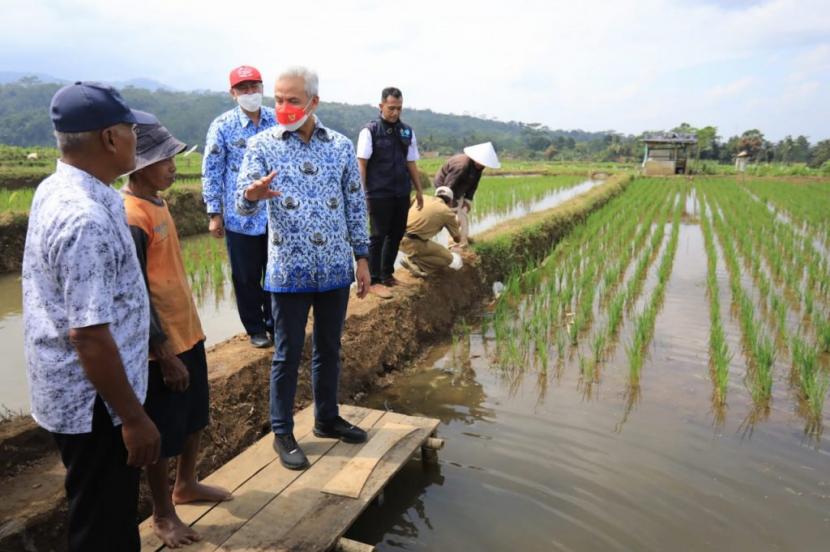 Gubernur Jawa Tengah Ganjar Pranowo berkunjung ke Desa Panembangan, Banyumas untuk melihat pengembangan Mina Padi yang dilakukan oleh kelompok petani Panembangan, Senin (18/7/22). 