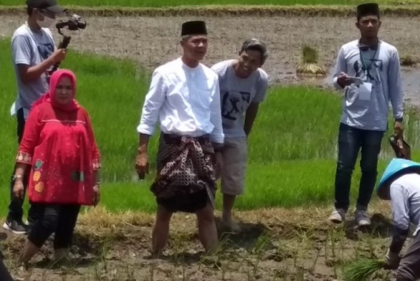 Gubernur Jawa Tengah Ganjar Pranowo (berpeci) saat turun ke sawah ikut menanam padi metode Jajar Legowo, di Desa Ngrapah, Kecamatan Banyubiru, Kabupaten Semarang, Senin (22/10).  Selama tiga tahun terakhir sektor pertanian merupakan bantalan ekonomi. Ilustrasi.