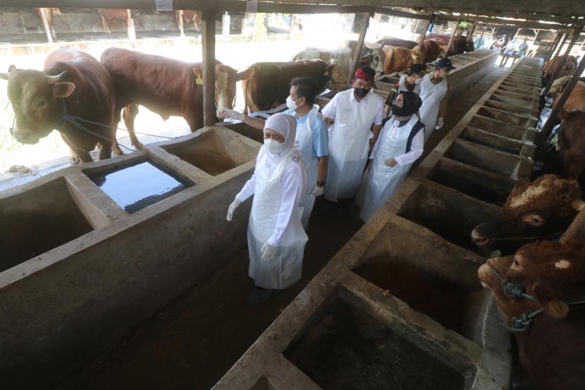 Dinas Pertanian dan Peternakan Kabupaten Lombok Tengah, Provinsi Nusa Tenggara Barat, mencatat sebanyak 12.313 ekor ternak sapi, kerbau dan kambing terkena wabah penyakit mulut dan kuku.
