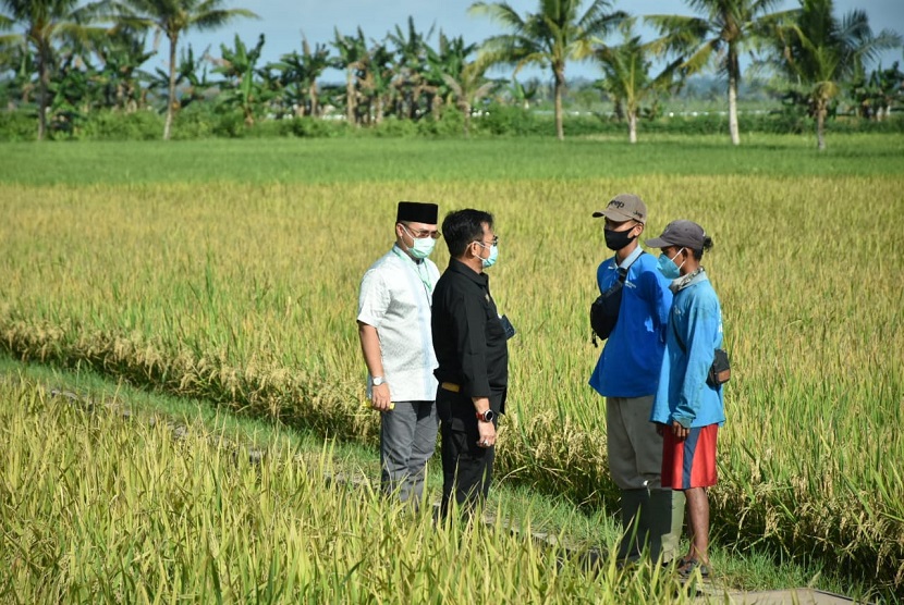 Gubernur Kepulauan Bangka Belitung Erzaldi Rosman mendampingi Menteri Pertanian Syahrul Yasin Limpo di Food Estate atau Lumbung Pangan Babel. Program pengembangan Food Estate di Babel tersebar di enam kabupaten