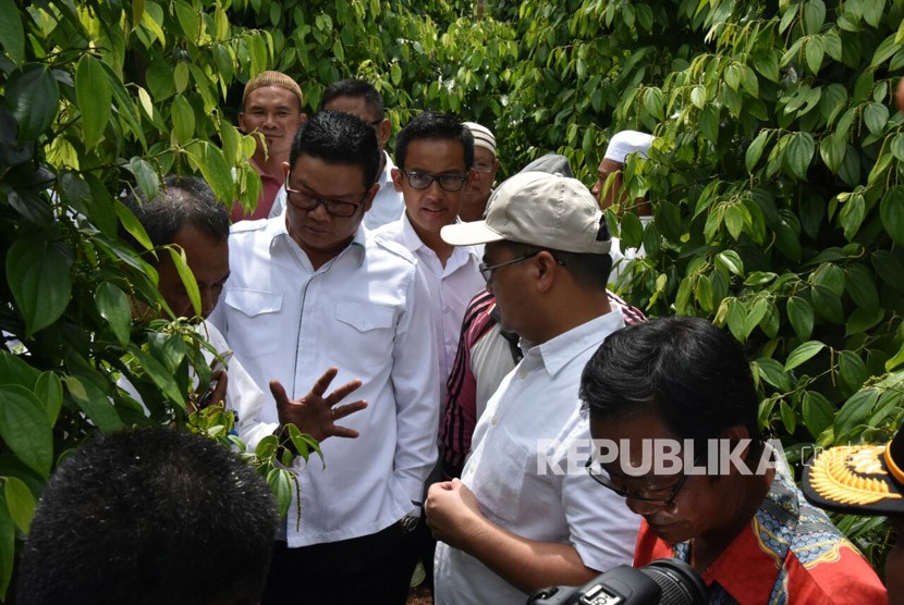 Gubernur Kepulauan Bangka Belitung Erzaldi Rosman mengunjungi petani lada di wilayah Bangka Belitung. 