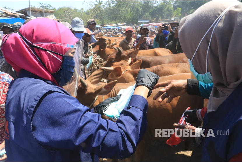 Gubernur Jawa Timur Khofifah Indar Parawansa meninjau sentra-sentra penjualan hewan di Bangkalan dengan memakai masker dan mentaati protokol kesehatan.