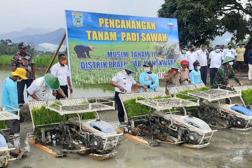 Gubernur Provinsi Papua Barat Dominggus Mandacan melakukan pencanangan tanam padi seluas 825 hektar tepatnya di Desa Prafi Mulia SP 1, kecamatan Prafi, Kabupaten Manokwari, kemarin Kamis (18/6). 