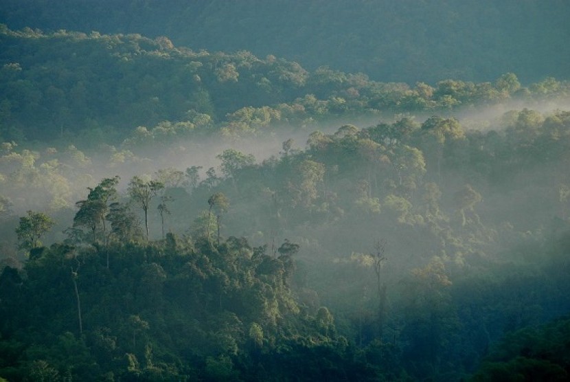 Kerusakan alam di Taman Nasional Gunung Halimun Salak (TNGHS) tengah disorot lantaran diduga menjadi penyebab bencana banjir yang melanda Lebak hingga Bogor. 