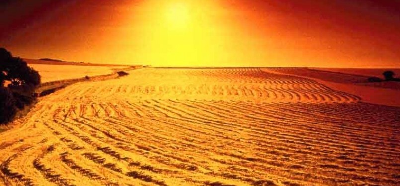 Gurun pasir (ilustrasi)