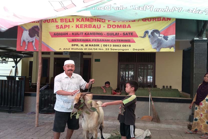 H M Nasik, sosok yang setia berjualan kambing sejak usia 30 tahun hingga saat ini berusia 75 tahun.