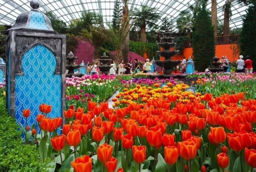 Hamparan tulip di Gardens by the Bay Singapura menyemarakkan agenda Tulipmania Rediscovered.