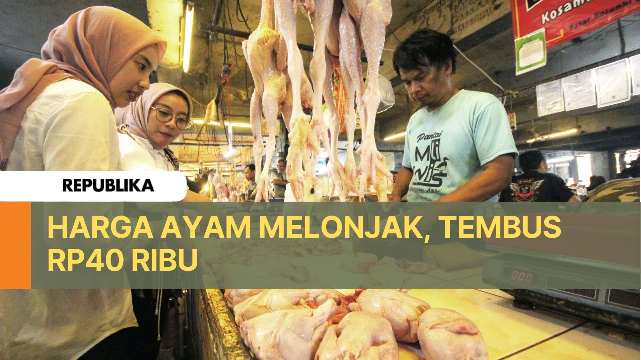 Harga Ayam Lagi Naik, Tembus Rp40 Ribu