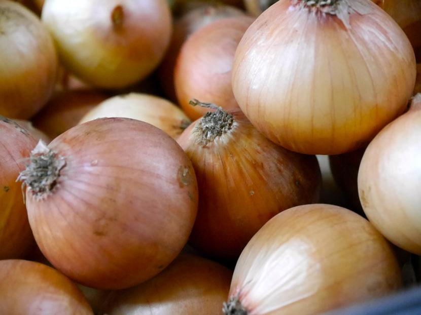 Bawang bombay bisa bertahan dengan cukup lama apabila disimpan dengan baik.