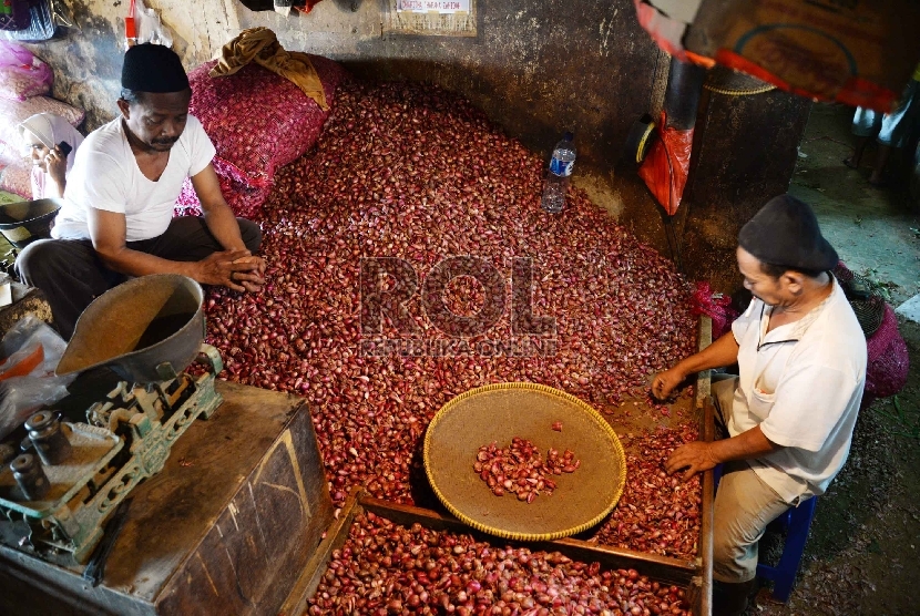 Harga Bawang Merah Naik: Pedagang memilah bawang merah di Pasar Senen, Jakarta, Senin (18/5).