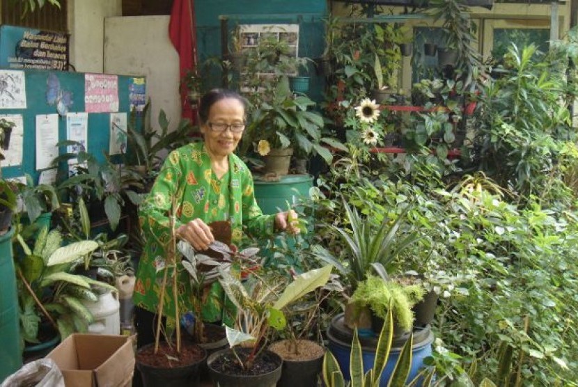 Harini Bambang Wahono dan kebun toganya.