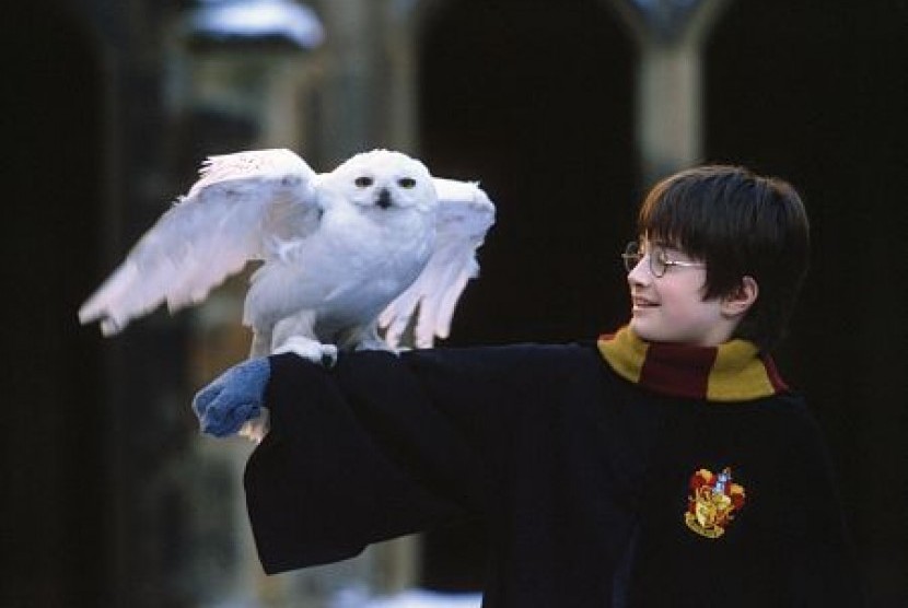 Buku 'Harry Potter and The Sorcerer's Stone' yang sangat populer akan dibaca oleh sederet selebriti (Foto: tokoh Harry Potter)