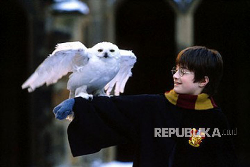 Harry Potter dan Burung Hantu putih