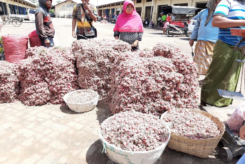 Hasil pemantauan tim Kementan menyebut pasokan dan harga bawang di Probolinggo aman