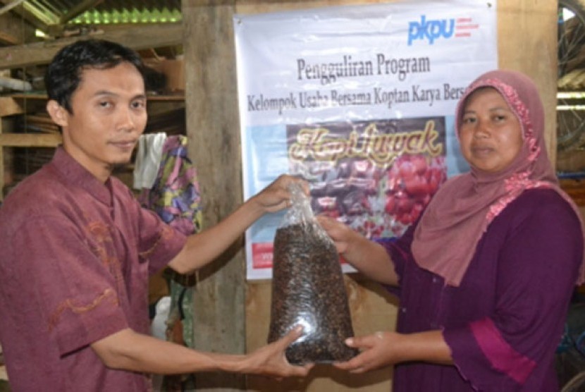 Hasil produksi usaha kopi luwak di Bengkulu