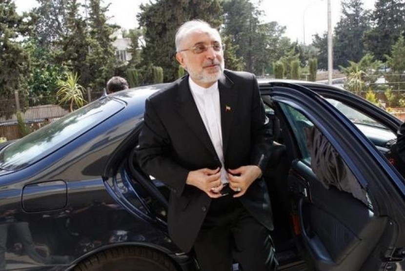 Head of Atomic Energy Organization of Iran Ali Akbar Salehi (file photo)