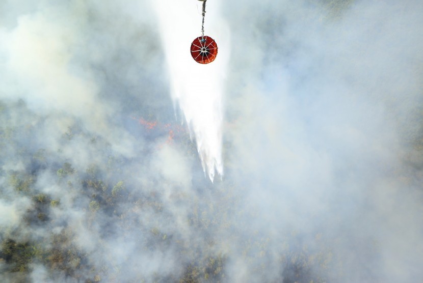 Helikopter pemadaman kebakaran hutan (ilustrasi)