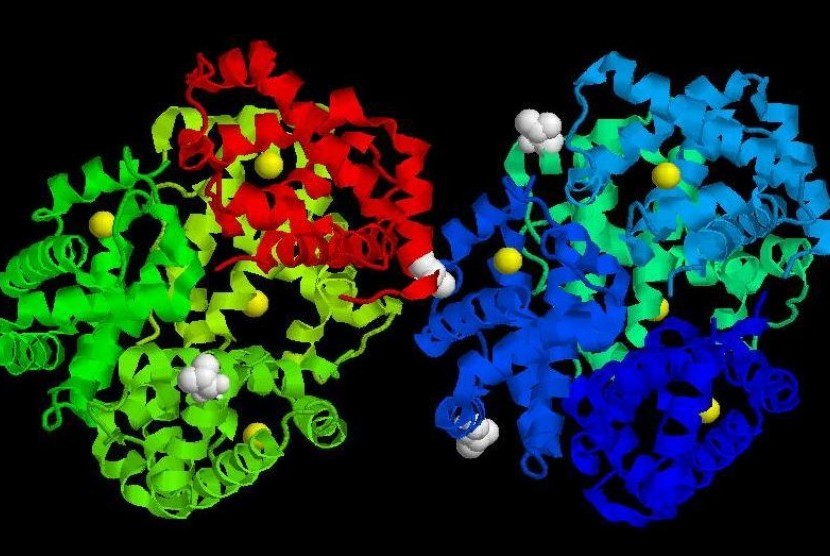 Hemoglobin (ilustrasi).