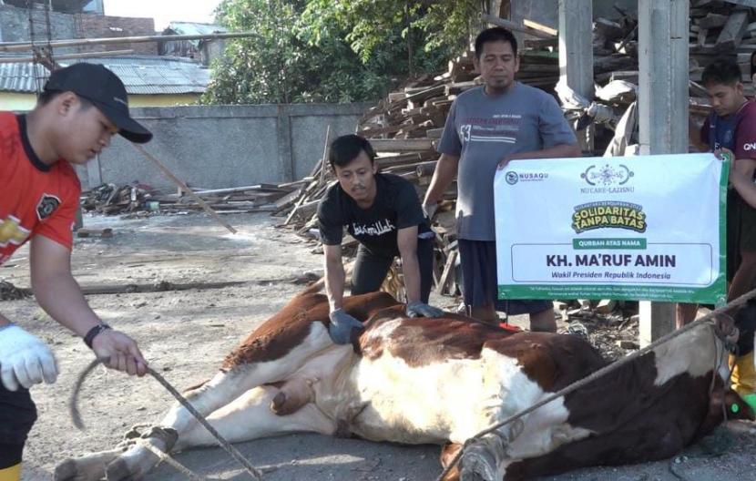 hewan dan daging kurban LAZISNU PBNU menyasar masyarakat duafa di Nusantara dan luar negeri.