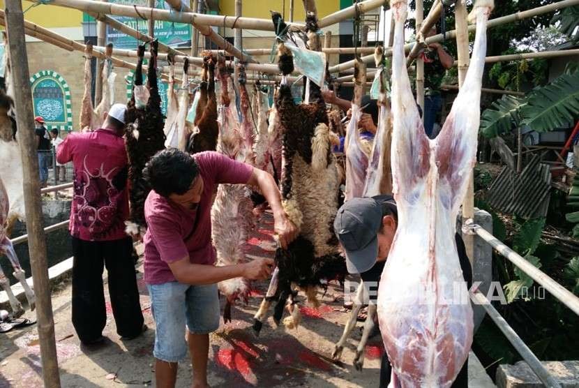 Pemotongan hewan kurban. Kota Depok sudah mempersiapkan protokol kesehatan terkait dengan tata cara pemotongan hewan kurban yang aman dan higienis.