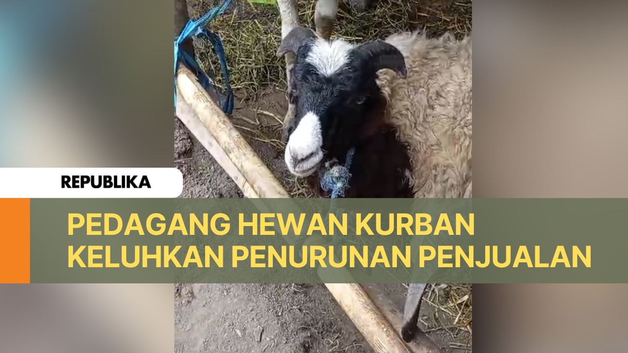 Hewan Kurban