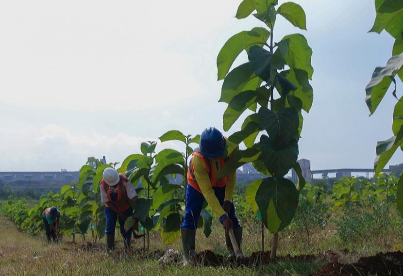 Hijaukan kembali lahan bekas penambangan kapur yang ada di sekitar kawasan pabrik Tuban, PT Semen Indonesia (Persero) Tbk (SIG) menerapkan reklamasi dengan sistem alur. 