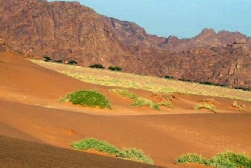 Hima di Saudi Arabia