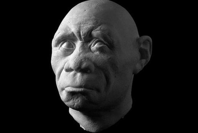 Homo floresiensis