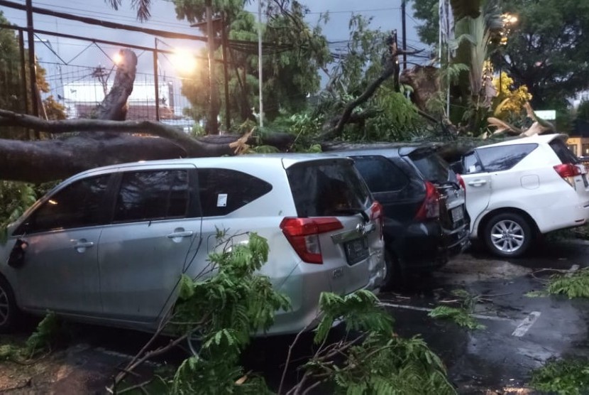 Hujan deras disertai angin kencang di wilayah Kota Bandung dan Kabupaten Bandung, menyebabkan belasan pohon tumbang. Sebagian bahkan menimpa beberapa kendaraan.